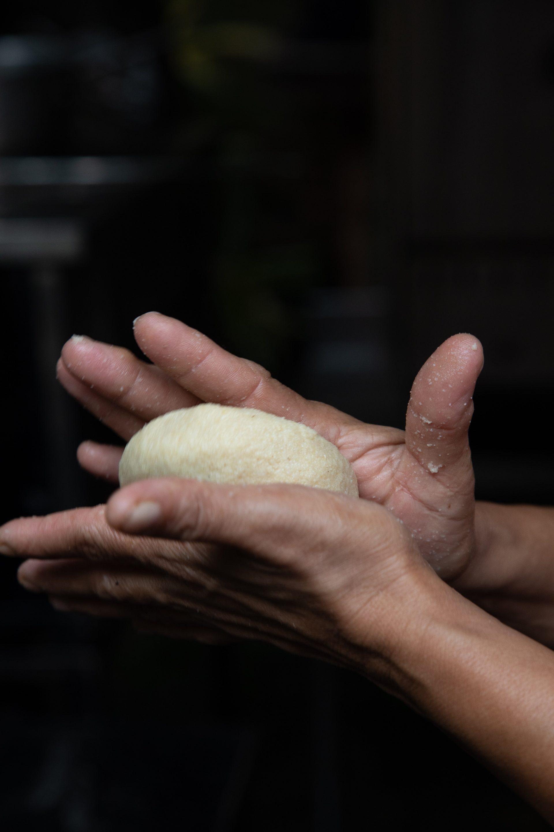 Inspired By Venezuelan Street Food